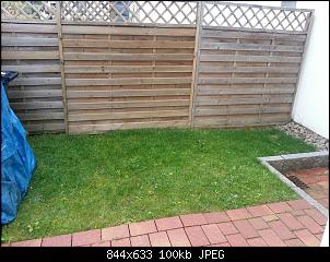 Junge Kaninchen �berwintern-garten.jpg