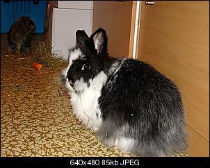 Niklaas der eine Nikki war...-dsc01081.jpg