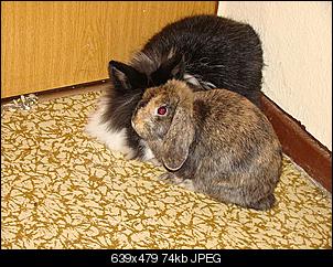 Niklaas der eine Nikki war...-dsc01089.jpg