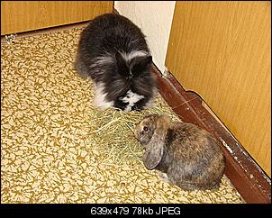 Niklaas der eine Nikki war...-dsc01096.jpg