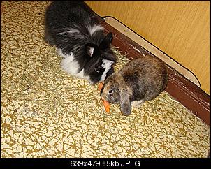 Niklaas der eine Nikki war...-dsc01104.jpg