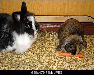 Niklaas der eine Nikki war...-dsc01108.jpg