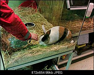 Klicke auf die Grafik f�r eine gr��ere Ansicht

Name:	Foto0223A.jpg
Hits:	134
Gr��e:	98,7 KB
ID:	4901