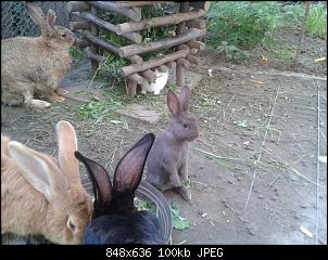 Doch Welpenschutz?-2017-09-23-16.54.16.jpg
