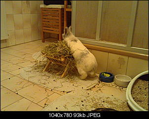 Ist es �berstanden?-20012011177.jpg