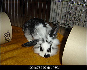 Klicke auf die Grafik f�r eine gr��ere Ansicht

Name:	DSC00268.jpg
Hits:	111
Gr��e:	96,8 KB
ID:	5119