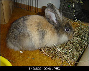 Klicke auf die Grafik f�r eine gr��ere Ansicht

Name:	DSC00393.jpg
Hits:	107
Gr��e:	100,1 KB
ID:	5120