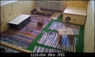 Teppichfrass-wp_20171229_007.jpg