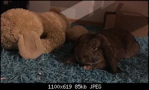 Hilfe! Was mache ich falsch?-8e83039c-e7b6-4e53-a545-cdbca5ae3f4e.jpg