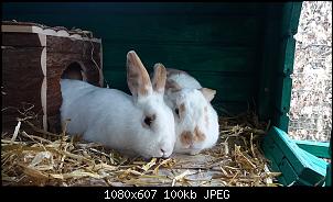 Hilfe! Pl�tzlich K�mpfe-20180406_163411.jpg