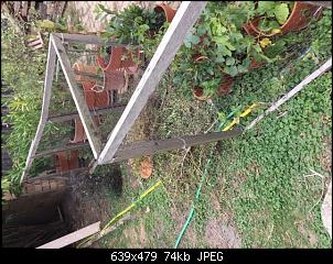 Gartenfreilauf - wie sichert ihr das Grundst�ck?-img_0519.jpg