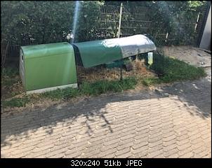 Pl�tzlicher Tod wann neu vergesellschaften-8250a6ae-0f79-43c9-b4ae-3852b42b2d1e.jpeg