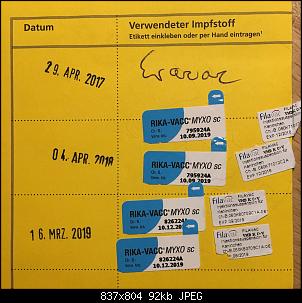 Gnadenhof oder �hnliches-img_9936_1.jpg