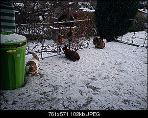 Klicke auf die Grafik f�r eine gr��ere Ansicht

Name:	30.11.103.jpg
Hits:	247
Gr��e:	102,0 KB
ID:	5503