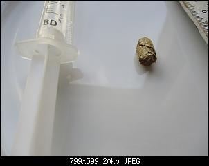 Toiletten Einstreu-pellet_start.jpg