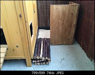 Pl�tzliche Randale-002.jpg