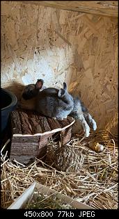 Trixi und Shiva-d30a8947-2736-4bba-83a9-e9064c39e97b.jpg
