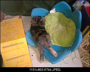 Lieblingspl�tze-26122010462.jpg