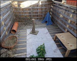 4. Kaninchen-dsc05332.jpg