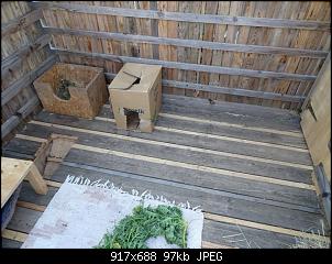 4. Kaninchen-dsc05334.jpg