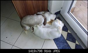 Muttermilch-20210625_081233.jpg