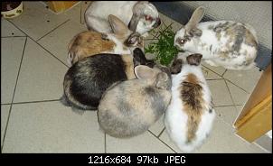 Muttermilch-20210625_105404.jpg