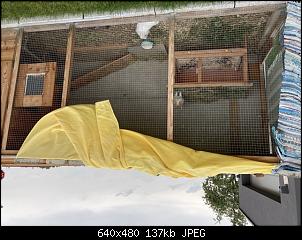 Pl�tzlich Rangordnungsk�mpfe-ec34d1e8-1ede-442a-bfee-a1cdfaf7242b.jpeg