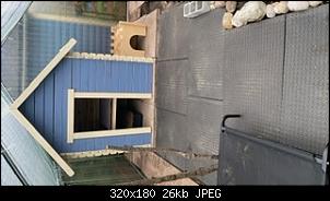 Vergesellschaftung auf die sanfte Art oder Zelten mit Kaninchen-77ecd8d0-46ec-4327-b5a2-3329e445d879.jpeg