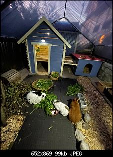 Kinderspielhaus aus Holz als Stall?-fa156771-2e6f-4938-ad70-70694e62c3d6.jpg