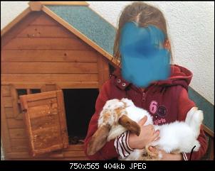 Kaninchenhaltung fr�her vs Heute-0d5aa151-291e-407e-81e9-3846a0e2d37e.jpeg