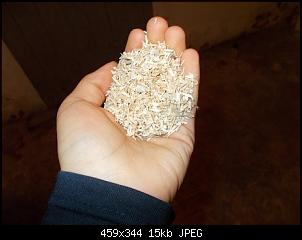 Welches Einstreu ist geeignet?-dscn6194.jpg