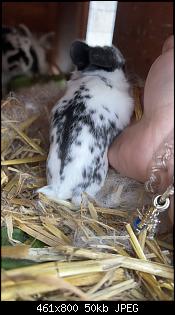 Babies und Rammler-3065752d-a320-499e-8d85-034d1d5166d6.jpg