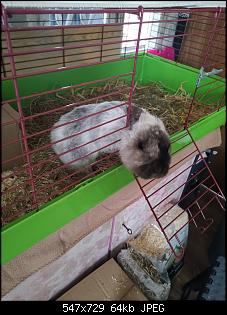 Wer kann mir einen Rat geben?-img_20220402_113653.jpg