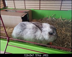 Wer kann mir einen Rat geben?-img_20220402_113708.jpg