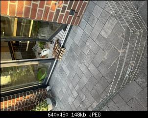 Pl�tzlich Zoff in Hasenhausen-02e0ae55-fa6b-43af-a693-4a8d5505bc92.jpeg