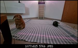 Neue Partnerin eingezogen, diverse Probleme-screenshot_20220712-212711_gallery.jpg