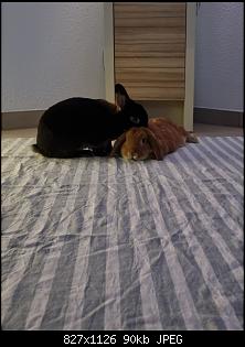 Neue Partnerin eingezogen, diverse Probleme-screenshot_20220727-065354_gallery.jpg