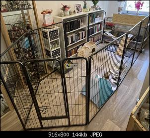 Verhaltensauff�lligkeit-4b53bff2-bcb1-4f11-a7b7-96567f9b8dde.jpg