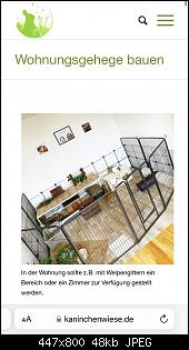 Verhaltensauff�lligkeit-3bd48e47-6f0c-4c51-b4e2-92a1bb68e5e1.jpg