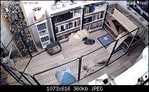 Verhaltensauff�lligkeit-a3d30cbd-b69a-4276-95cf-406195fe0343.jpeg