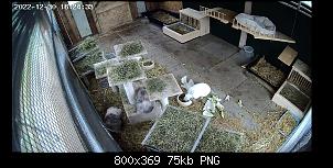 Verhalten normal oder bedenklich?-screenshot_20221230-162438.jpg