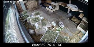Verhalten normal oder bedenklich?-screenshot_20221230-162036.jpg