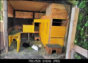 3 Gruppen + Neutiere zusammenf�hren-grartenh%E4uschen.jpg
