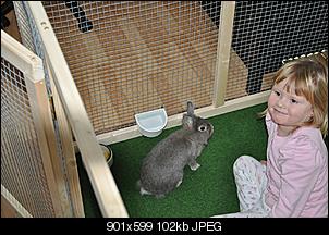 Neu und brauche Hilfe?!-dsc_0004.jpg