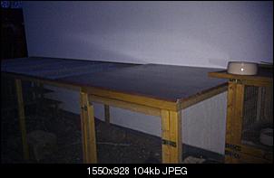 Hilfe, MARDER!!! war tun?-imag0296.jpg
