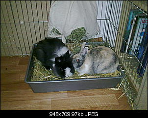Babyalarm!!!!-16032011549.jpg