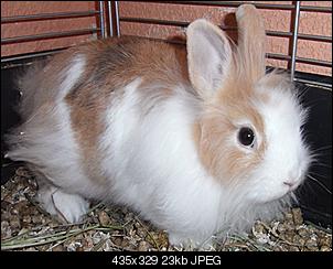 Tags�ber Au�enhaltung?-s%FC%DFe.jpg