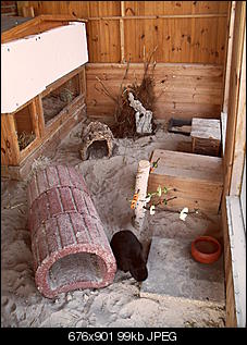 Was m�gen eure Kaninchen f�r einrichtung?-sdc10086.jpg