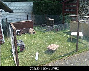 Was m�gen eure Kaninchen f�r einrichtung?-imag0209.jpg