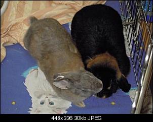 VG gegl�ckt ?-dscn0743.jpg